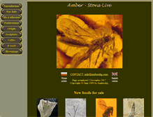 Tablet Screenshot of amberabg.com
